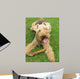 Welsh Terrier Wall Mural