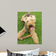 Welsh Terrier Wall Mural