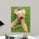 Welsh Terrier Wall Mural