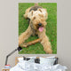 Welsh Terrier Wall Mural