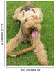 Welsh Terrier Wall Mural