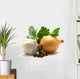Aromatic herbs, onions, garlic and pepper Wall Decal