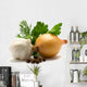 Aromatic herbs, onions, garlic and pepper Wall Decal