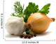 Aromatic herbs, onions, garlic and pepper Wall Decal