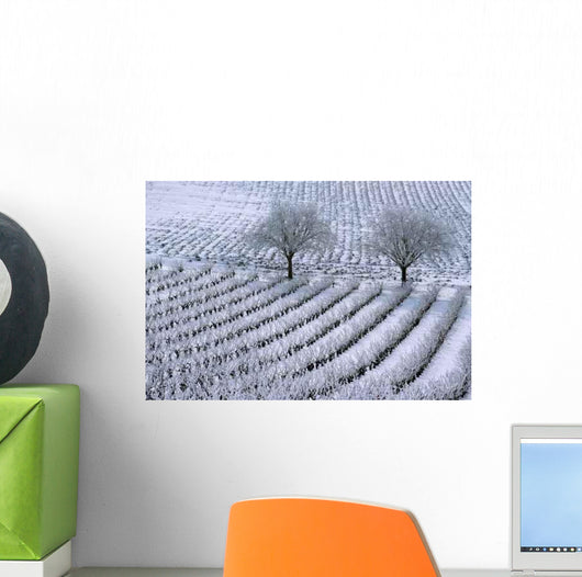 Coat White Wall Decal