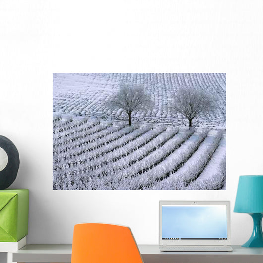 Coat White Wall Decal