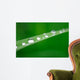 Water Drops on Grass Wall Mural