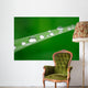 Water Drops on Grass Wall Mural