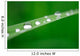 Water Drops on Grass Wall Mural