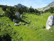 Wild Landscape Chartreuse Wall Decal