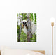 Coquerel Sifaka Wall Decal