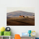 Farmhouse in typical Tuscan hills Wall Mural