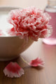 flower in white bowl and bottle of oil. spa and body care backgr Wall Mural