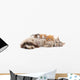 Cat with kittens. Wall Decal