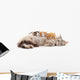 Cat with kittens. Wall Decal
