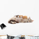 Cat with kittens. Wall Decal