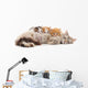 Cat with kittens. Wall Decal