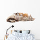 Cat with kittens. Wall Decal