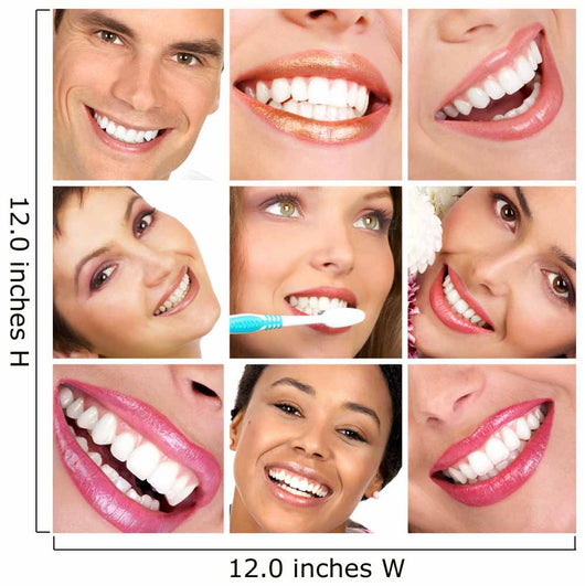teeth Wall Decal