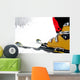 ski Wall Mural