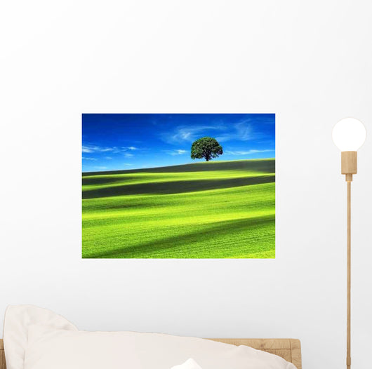 Green Field with Blue Wall Decal
