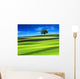 Green Field with Blue Wall Decal