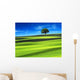Green Field with Blue Wall Decal
