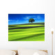 Green Field with Blue Wall Decal