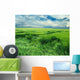 Endless Green Field Wall Decal
