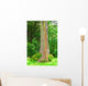 painted eucalyptus tree Wall Mural