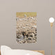 Spotted hyena refreshing at a water hole at Etosha National Park, Namibia Wall Mural