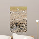 Spotted hyena refreshing at a water hole at Etosha National Park, Namibia Wall Mural