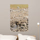 Spotted hyena refreshing at a water hole at Etosha National Park, Namibia Wall Mural