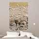 Spotted hyena refreshing at a water hole at Etosha National Park, Namibia Wall Mural