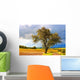 Colorful Landscape Wall Decal