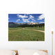 San Juan Mountains in Colorado Wall Mural