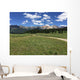 San Juan Mountains in Colorado Wall Mural