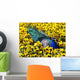 Peafowl in Pansies Wall Mural