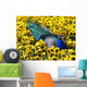 Peafowl in Pansies Wall Mural