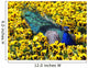 Peafowl in Pansies Wall Mural