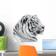 Proud white tiger Wall Decal