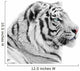 Proud white tiger Wall Decal