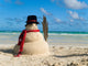 SNOWMAN ON BEACH Wall Mural