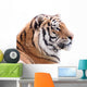 Proud Tiger Head Wall Decal