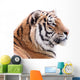 Proud Tiger Head Wall Decal