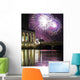Fireworks Binnenalster Vi Wall Decal