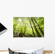 Tall Trees Wall Mural
