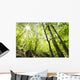Tall Trees Wall Mural