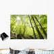 Tall Trees Wall Mural