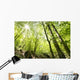 Tall Trees Wall Mural